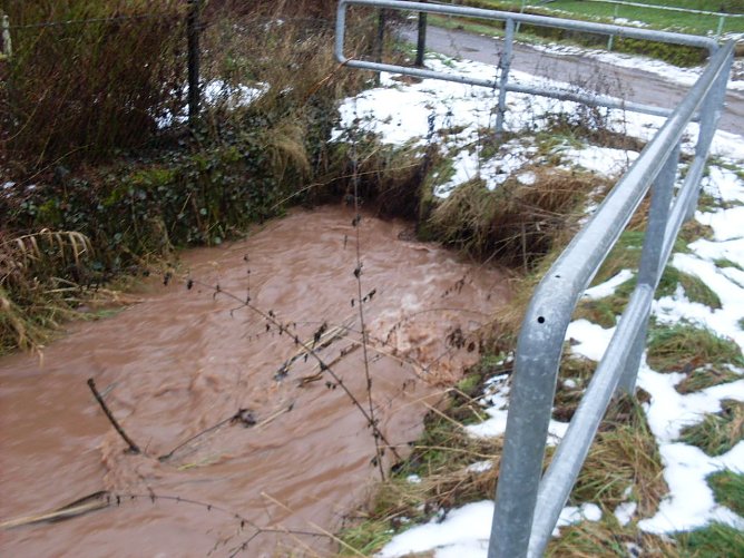 Überschwemmt (Foto: nnz) Überschwemmt (Foto: nnz)
