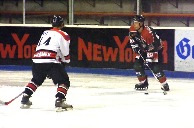 Wölfe unterliegen (Foto: Koch) Wölfe unterliegen (Foto: Koch)