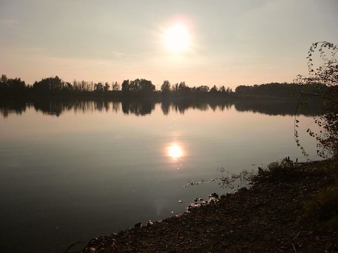 Leserfoto (Foto: Kraut) Leserfoto (Foto: Kraut)