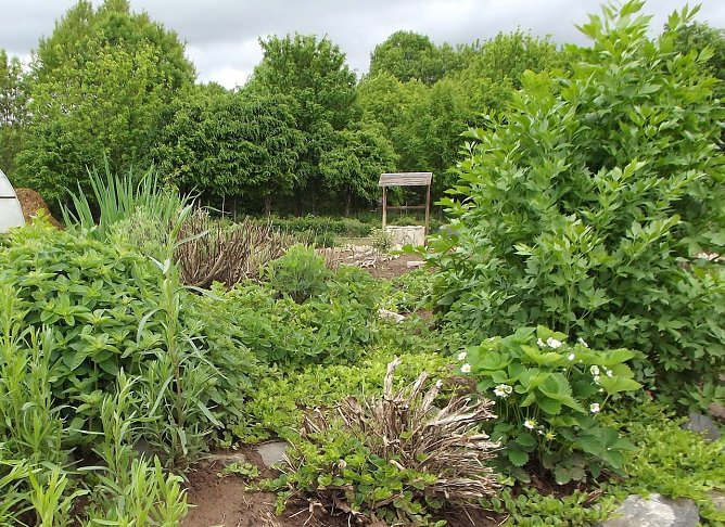 &Ouml;ko-Garten (Foto: Horizont e.V.)