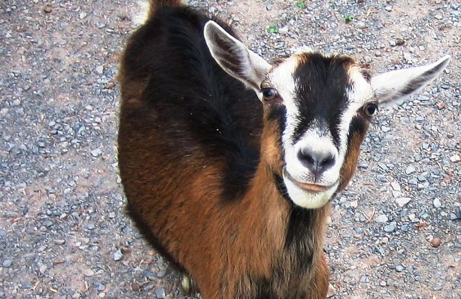 Willkommen im Schullandheim (Foto: privat)