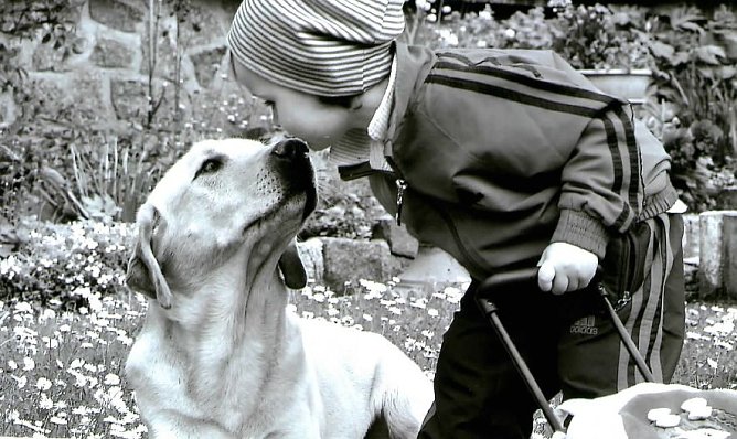 K&uuml;sschen (Foto: privat)