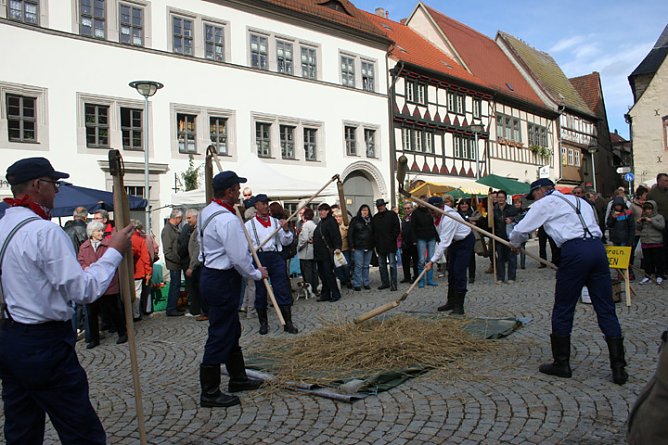 Tag der Regionen (Foto: Stadt Bad Frankenhausen) Tag der Regionen (Foto: Stadt Bad Frankenhausen)