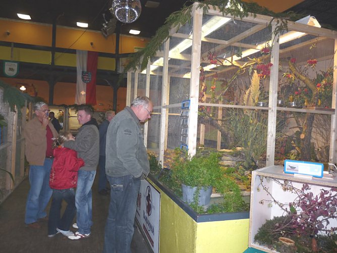 Ziergeflügelausstellung (Foto: Karl-Heinz Herrmann) Ziergeflügelausstellung (Foto: Karl-Heinz Herrmann)