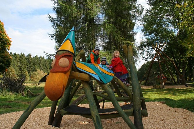 Heupferd (Foto: Ingrid N&ouml;renberg.)