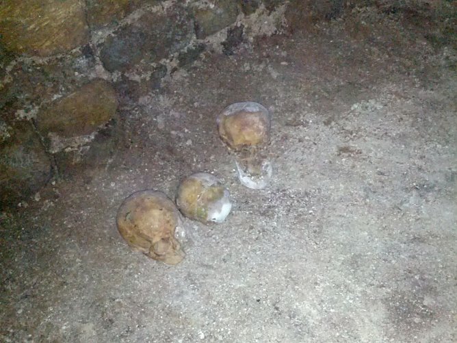 Totenschädel (Foto: privat) Totenschädel (Foto: privat)