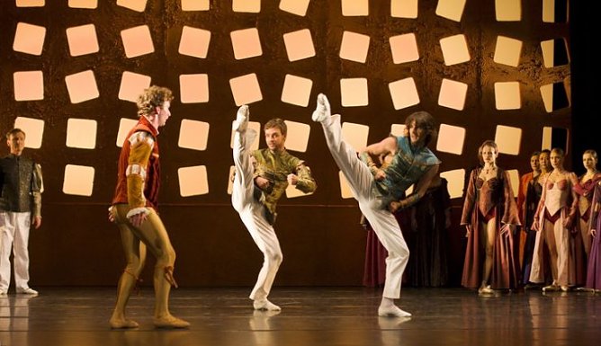 romeo (Foto: T. Graner) romeo (Foto: T. Graner)