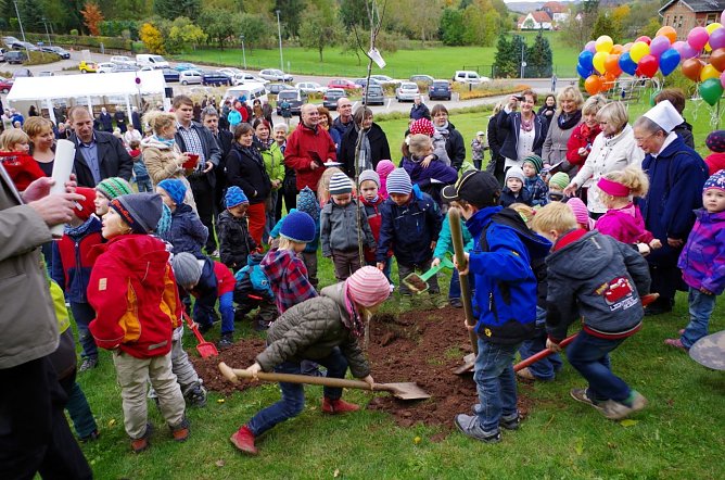 Apfelbaum gepflanzt (Foto: M. Sch&uuml;ler)