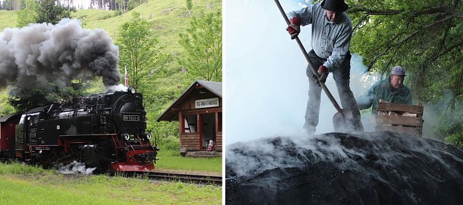 Motive (Foto: Naturpark Südharz) Motive (Foto: Naturpark Südharz)