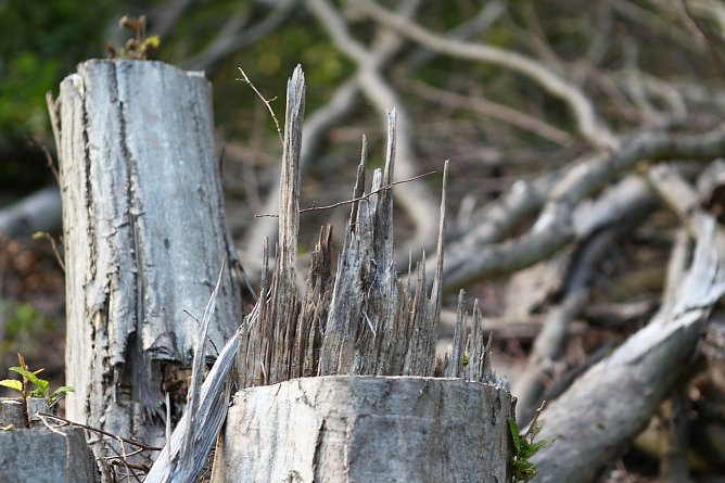 Am Braunsteinhaus (Foto: nnz) Am Braunsteinhaus (Foto: nnz)