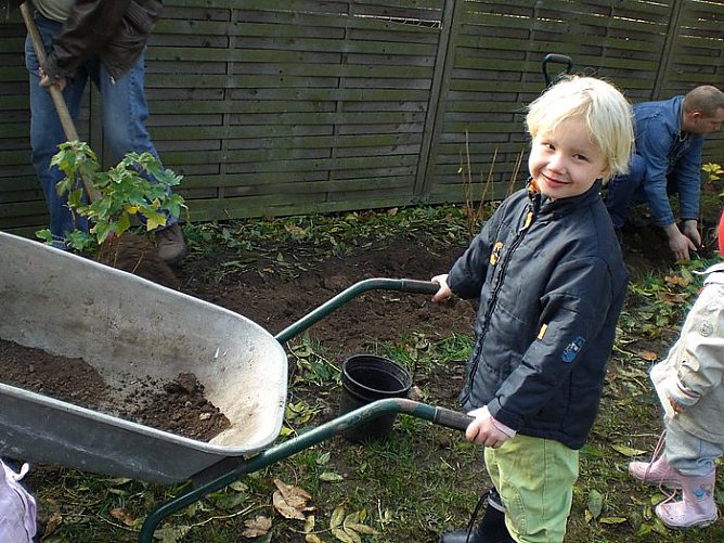Fleißge Arbeiter (Foto: Kita) Fleißge Arbeiter (Foto: Kita)