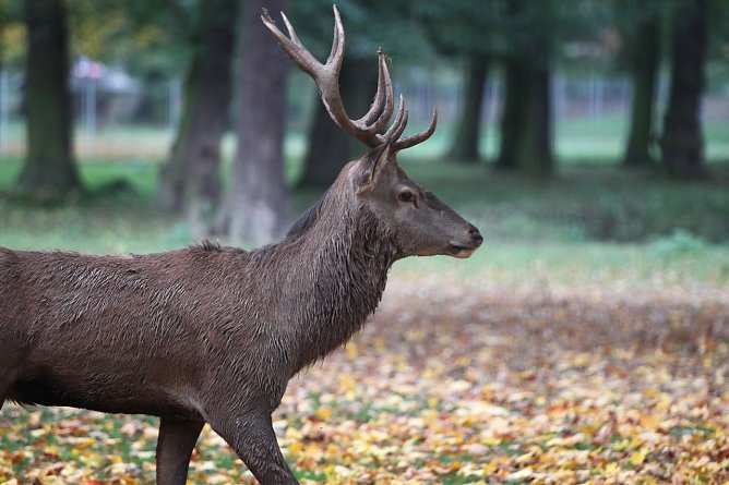 Im Stadtpark (Foto: nnz) Im Stadtpark (Foto: nnz)