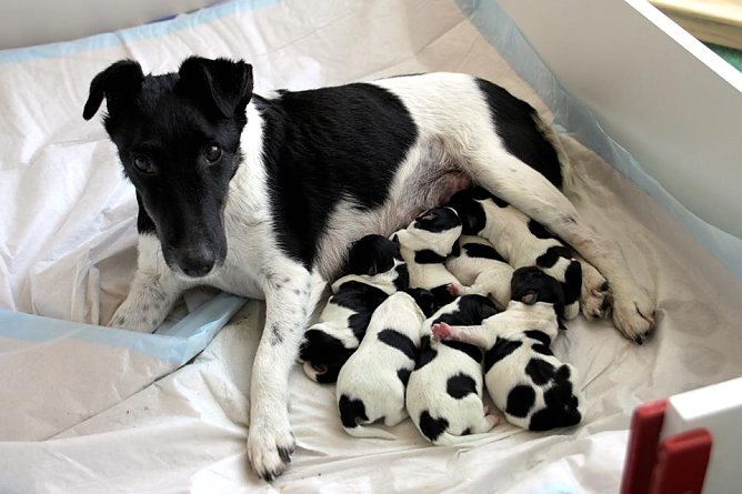 Alle wohlauf (Foto: privat)