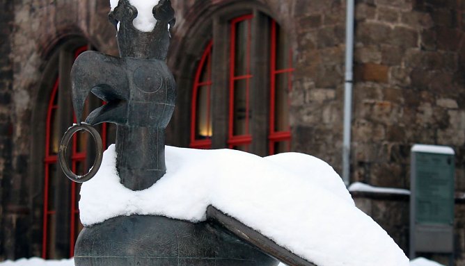 Der Aar mit Schneehaube (Foto: J. Piper)