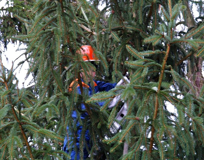 Vorbereitungen in Liebenrode (Foto: privat)