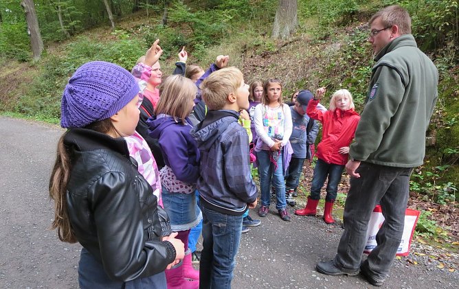 Den Wald erkundet (Foto: privat) Den Wald erkundet (Foto: privat)