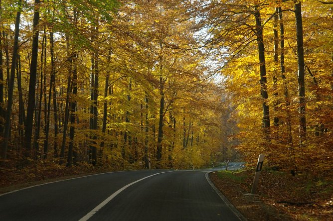 Wetter-Bild (Foto: G. Thelemann)