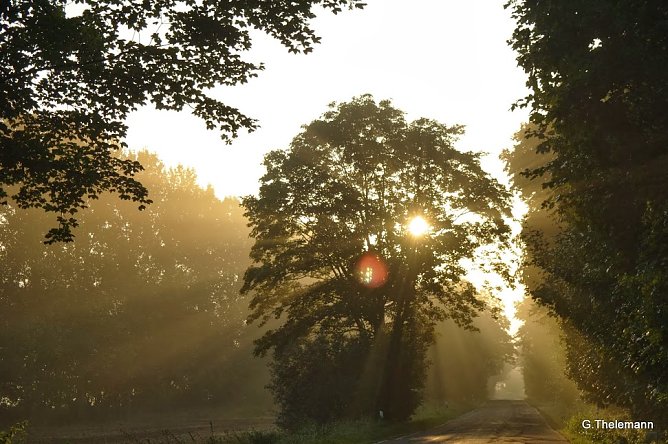 Wetter-Bild (Foto: Gernot Thelemann)