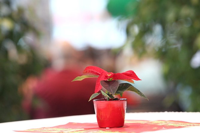 Weihnachtsmärchen in der Skoda-Autowelt (Foto: nnz) Weihnachtsmärchen in der Skoda-Autowelt (Foto: nnz)