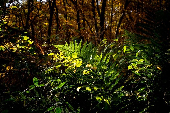 Wetter-Bild (Foto: Gernot Thelemann) Wetter-Bild (Foto: Gernot Thelemann)