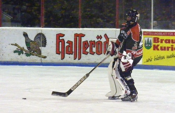 An der Küste (Foto: Koch) An der Küste (Foto: Koch)