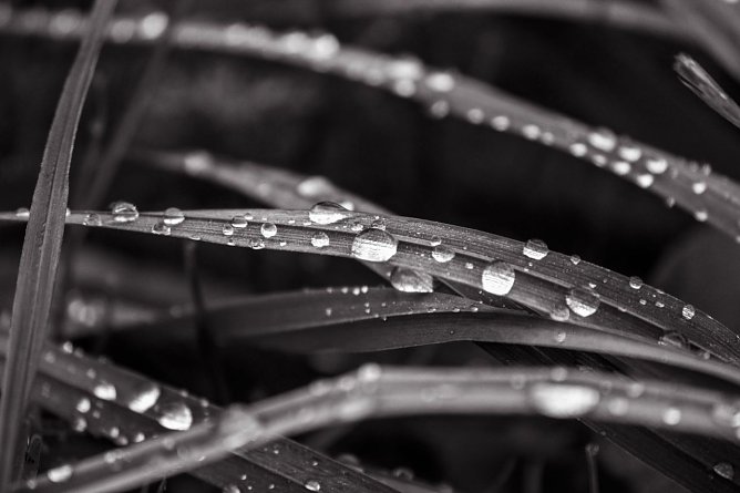 Wetter-Bild (Foto: Gernot Thelemann)