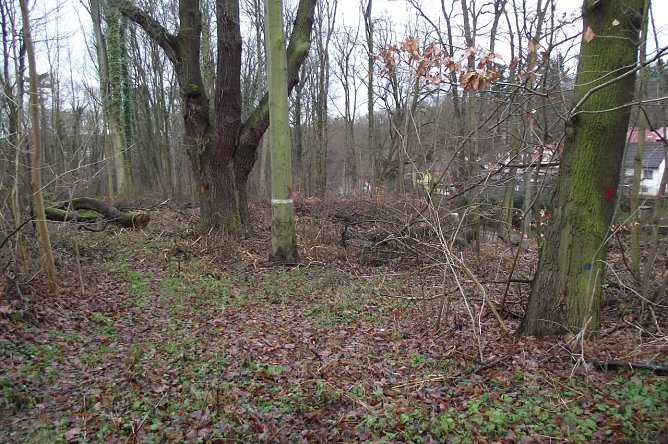 Das Nordh&auml;user Gehege (Foto: Kurt Frank)