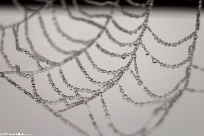 Wetter-Bild (Foto: Gernot Thelemann)