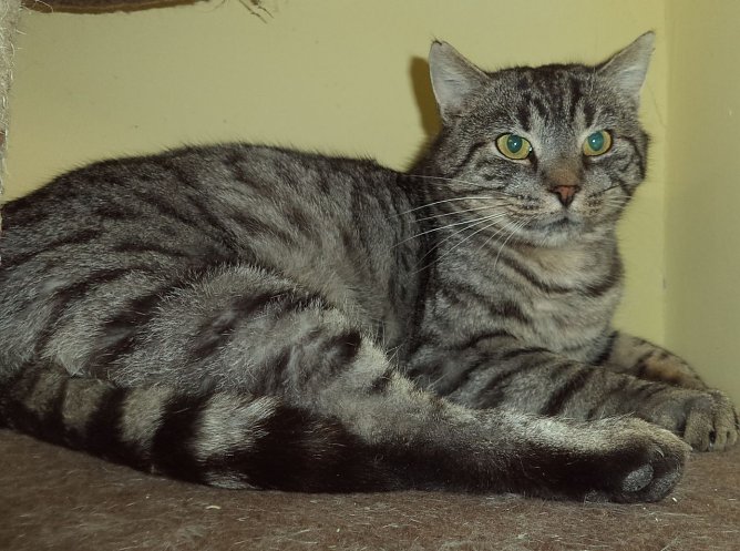 Toni (Foto: C. Knust)