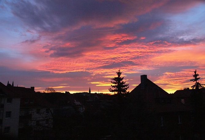 Morgenrot (Foto: Angsmeier) Morgenrot (Foto: Angsmeier)