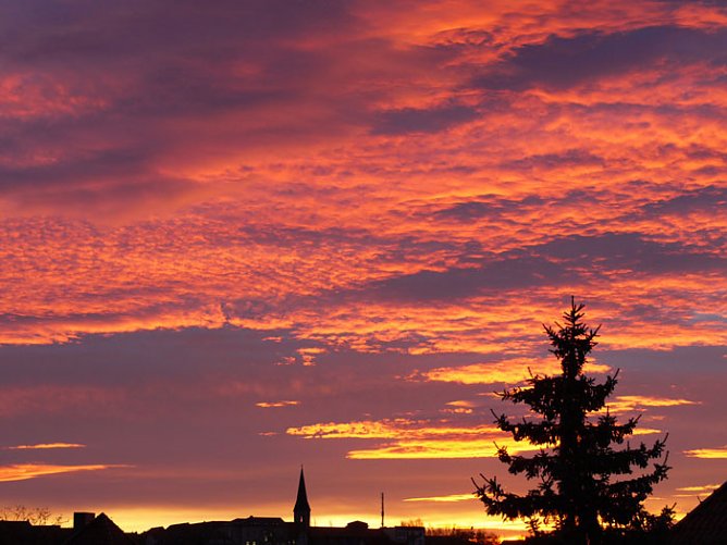 Morgenrot (Foto: Angsmeier) Morgenrot (Foto: Angsmeier)