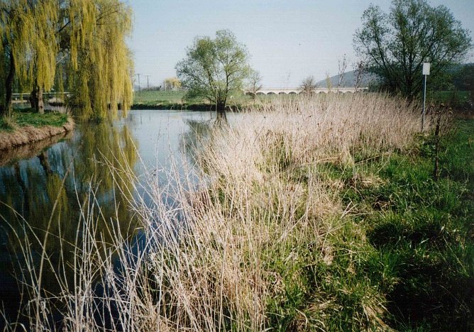 An dieser Stelle bei Sachsenburg mündet die Wipper in die Unstrut (Foto: Archiv Rasemann) An dieser Stelle bei Sachsenburg mündet die Wipper in die Unstrut (Foto: Archiv Rasemann)