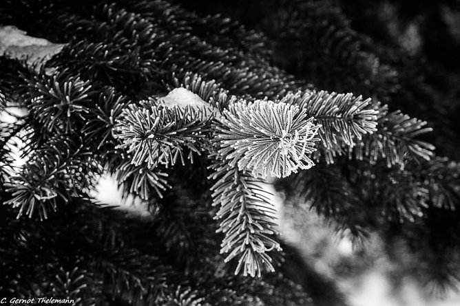 Wetter-Bild (Foto: Gernot Thelemann)