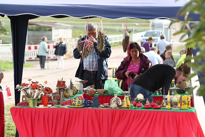 Die Fort-Farm (Foto: nnz-Archiv)