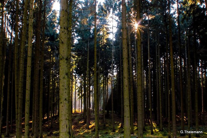 Wetter-Bild (Foto: Gernot Thelemann) Wetter-Bild (Foto: Gernot Thelemann)