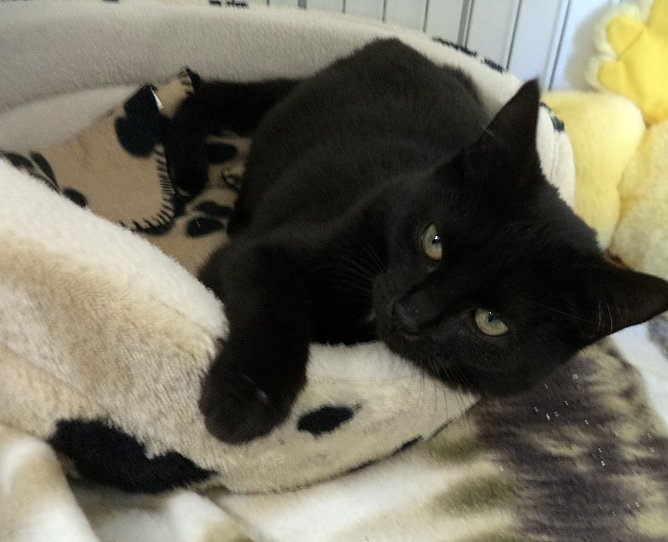 Ilona (Foto: C. Knust)