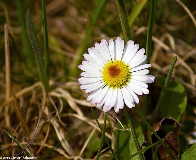 Wetter-Bild (Foto: Gernot Thelemann)
