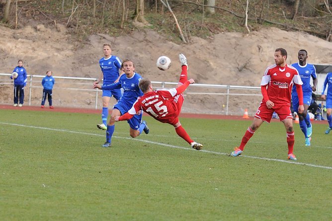 Hauswald mit Fallr&uuml;ckzieher (Foto: Lars Koch)