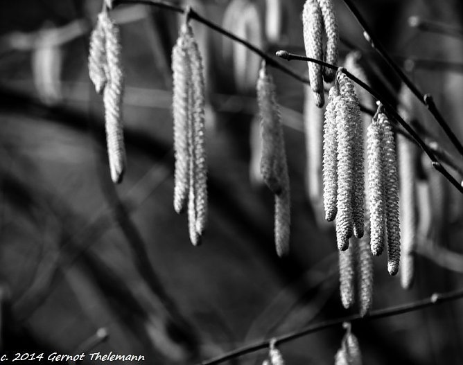 Wetter-Bild (Foto: Gernot Thelemann) Wetter-Bild (Foto: Gernot Thelemann)