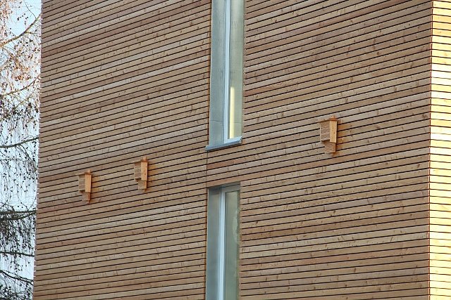 L&auml;rchenholz (Foto: Th&uuml;ringenForst)