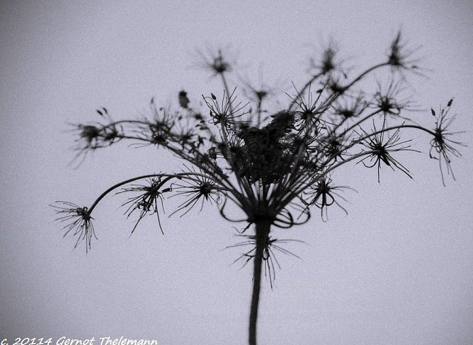 Wetter-Bild (Foto: Gernot Thelemann)