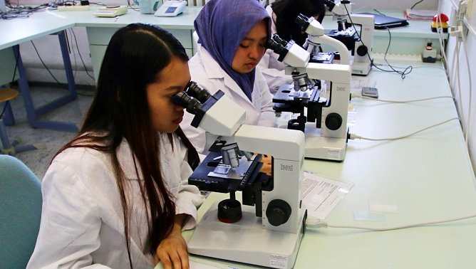 Wissenschaft zum Anfassen (Foto: Tina Schneppe, FHN)