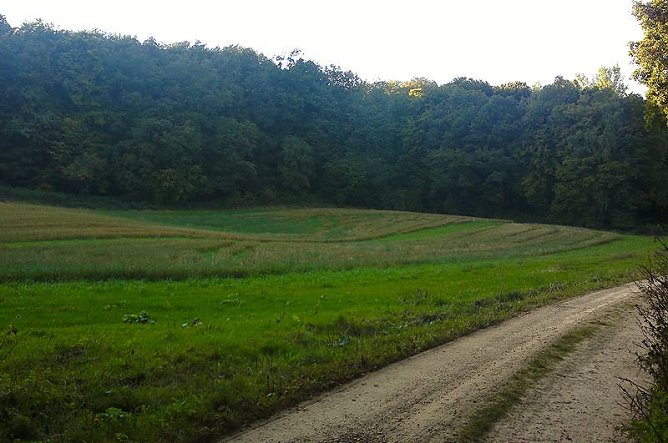Hier soll der Klimawald entstehen (Foto: Forstamt Bleicherode Südharz) Hier soll der Klimawald entstehen (Foto: Forstamt Bleicherode Südharz)