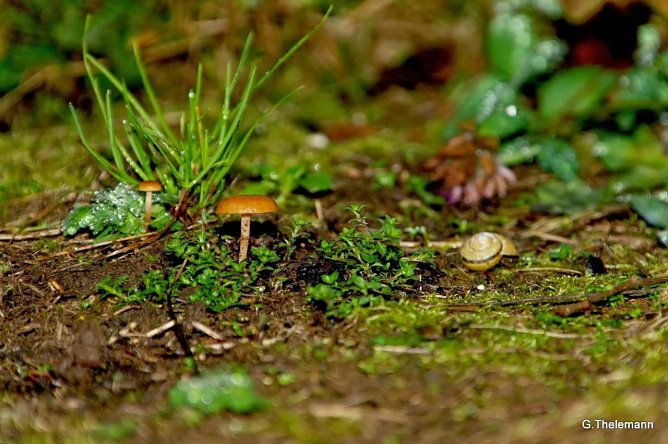 Wetter-Bild (Foto: Gernot Thelemann)