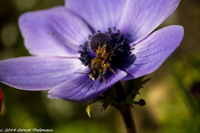 Wetter-Bild (Foto: Gernot Thelemann)