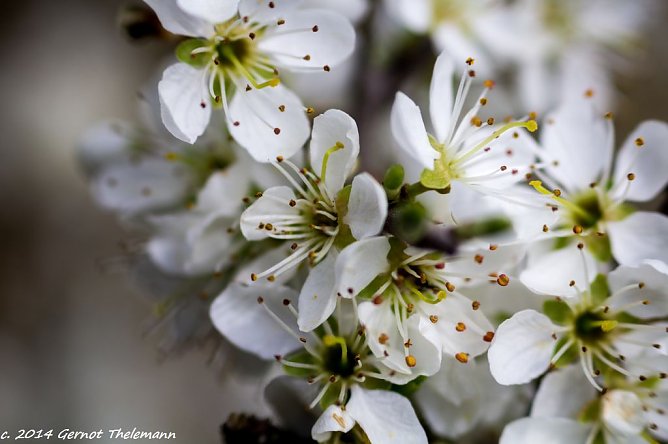 Wetter-Bild (Foto: Gernot Thelemann) Wetter-Bild (Foto: Gernot Thelemann)