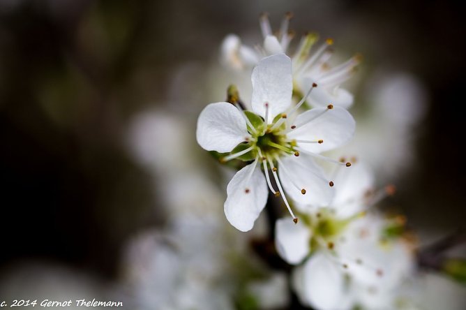 Wetter-Bild (Foto: Gernot Thelemann)