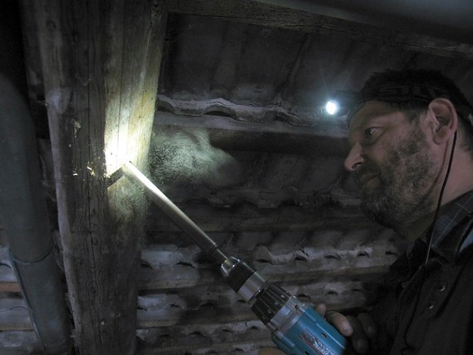 Arbeiten im September (Foto: nnz) Arbeiten im September (Foto: nnz)