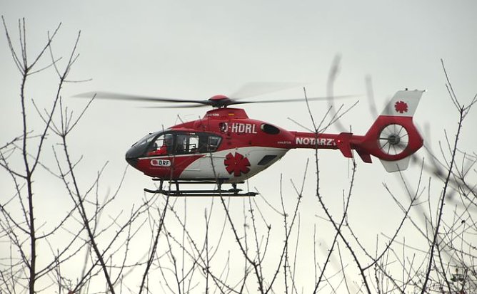 Bäume müssen weg (Foto: nnz) Bäume müssen weg (Foto: nnz)