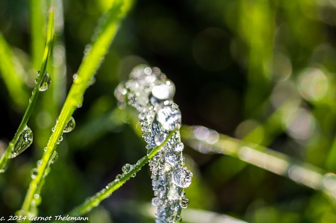 Wetterbild (Foto: Gernot Thelemann) Wetterbild (Foto: Gernot Thelemann)